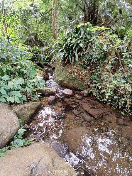 【苗栗南庄】沿途潺潺溪水聲。 蓬萊溪護魚步道_2688916