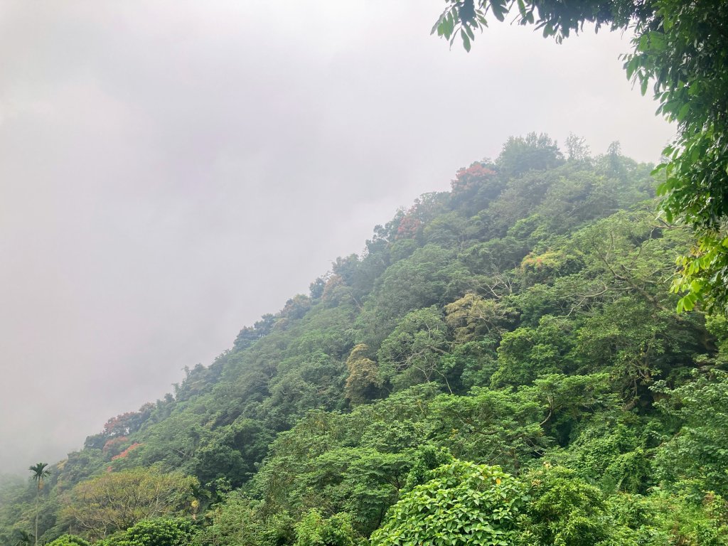 獨立山國家步道_2615948