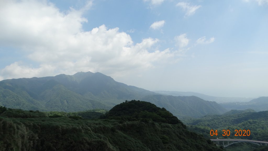 陽明山賞蝶趣_940563