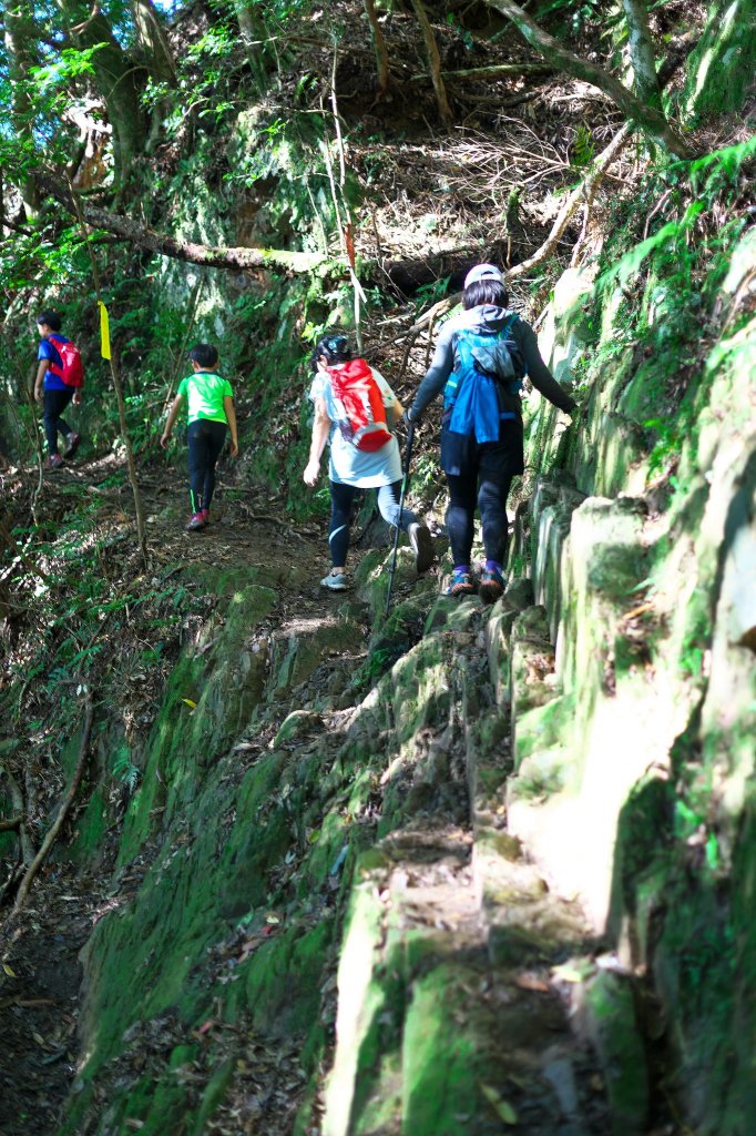 迷幻高島(高島縱走-小錦屏線)_1517538