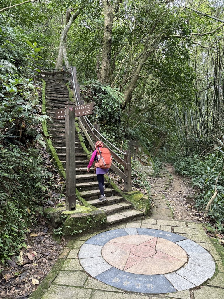 南港山.象山.四獸山-20250317_2770538