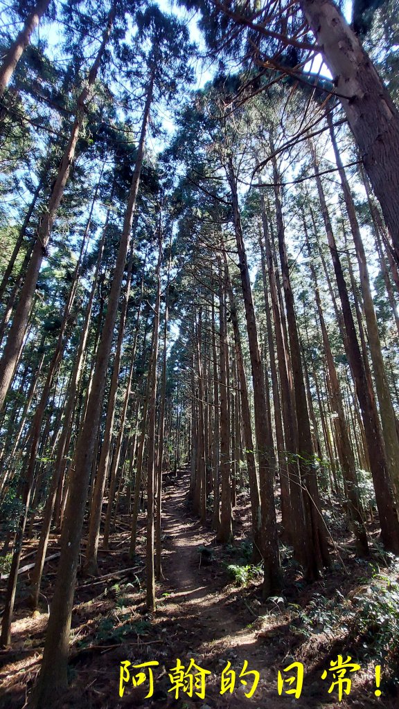 高島縱走_2686907