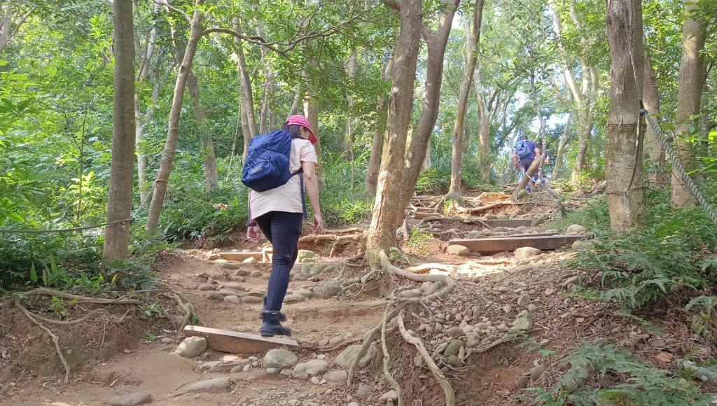 (姨婆趴趴走)第二十五集:新竹飛鳳山步道群環狀縱走_2313700