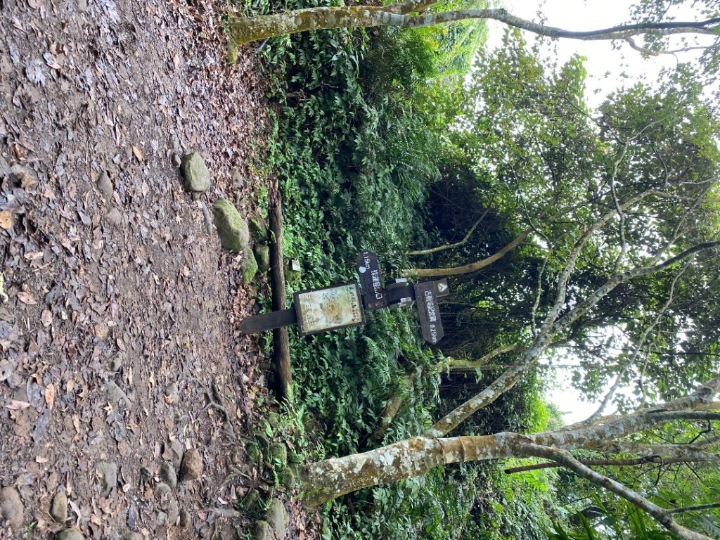 037苗栗泰安-馬那邦山_2604684