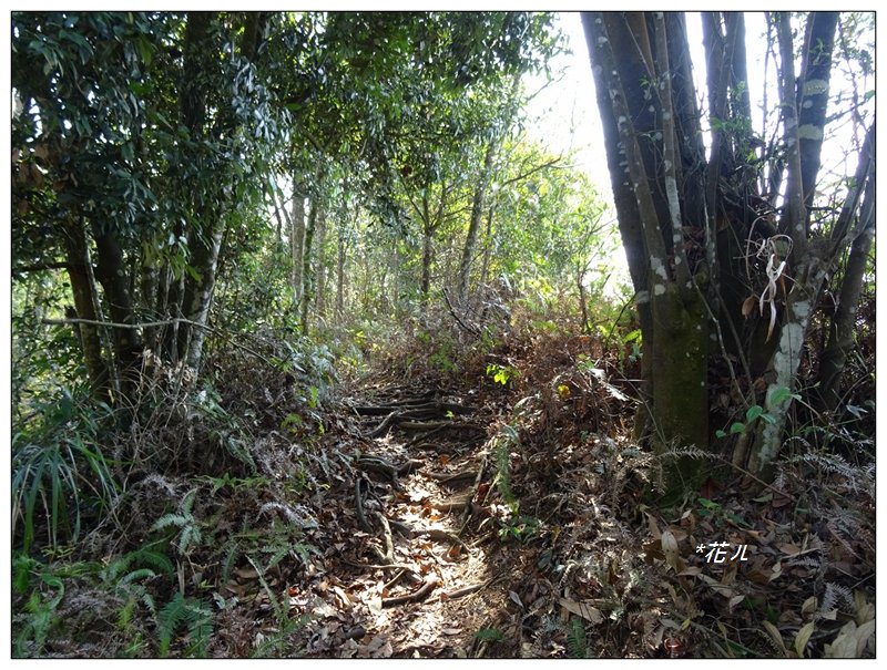黑山北峰/黑山/石苓湖山_877292