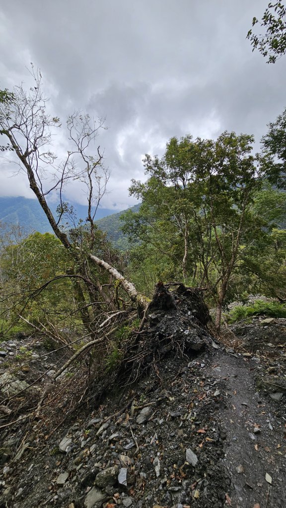 【美美兔走山趣】瓦拉米單攻27.2K-神人級路線。_2773397