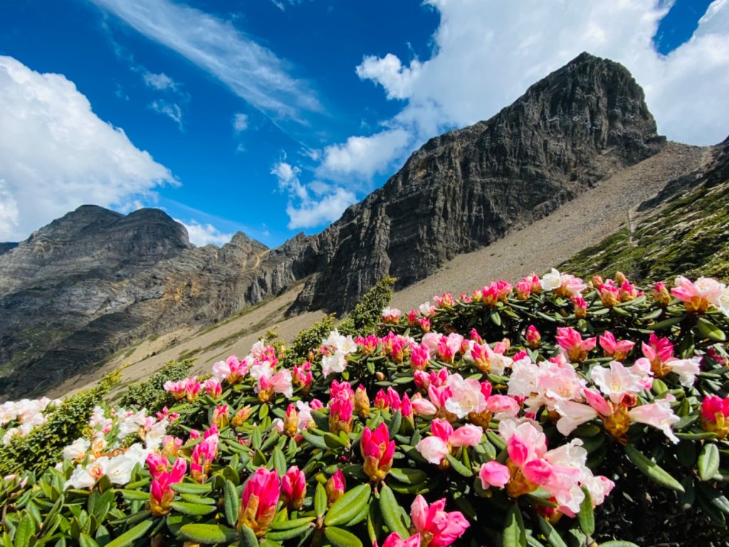 玉山群峰前五峰後四峰_2609984