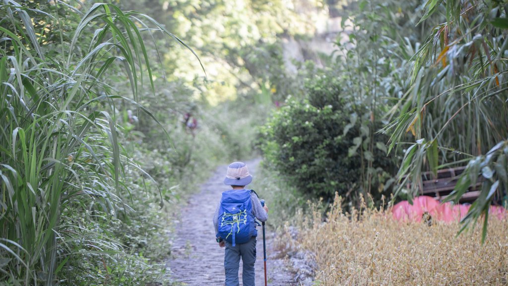 闊瀨古道-沿北勢溪谷而行的夏末之旅（淡蘭古道）_2287578