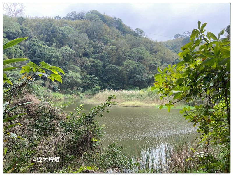 山塘背登山步道 O型路線封面圖