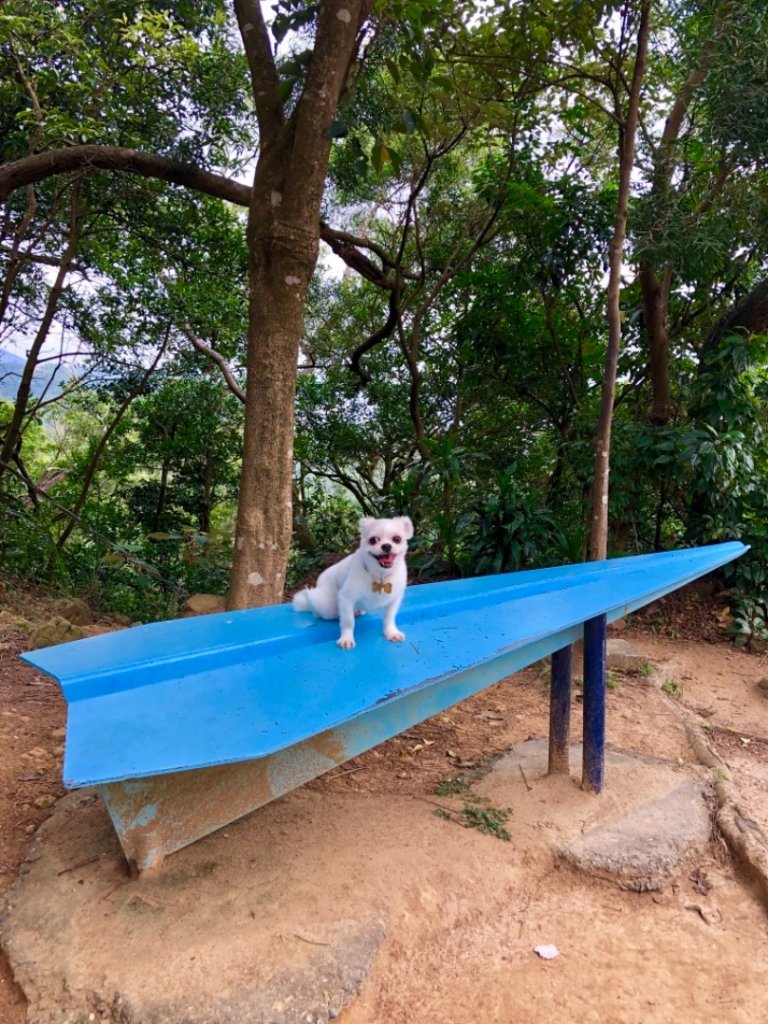 2018-11-21圓山十美劍潭山親山步道_468579