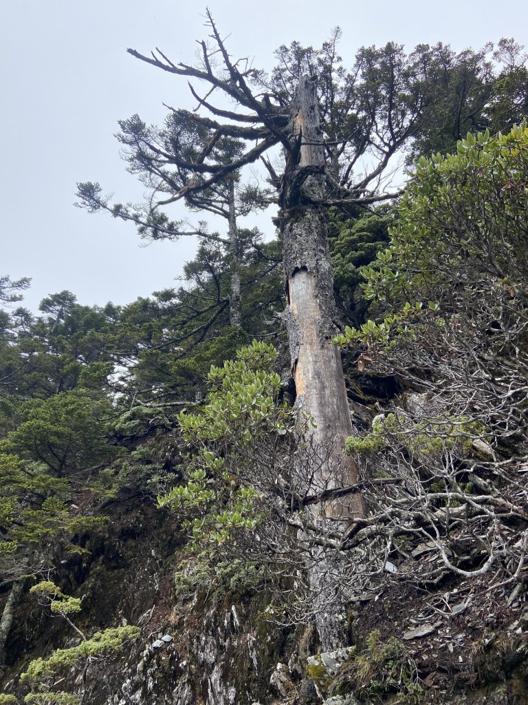 20230515-16玉山前西峰+遠望雨中的主東北_2436692