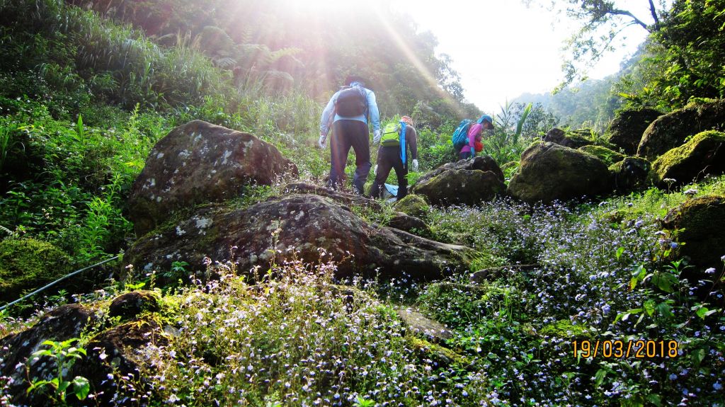 再訪 ~ 筆架山連峰 !_293867