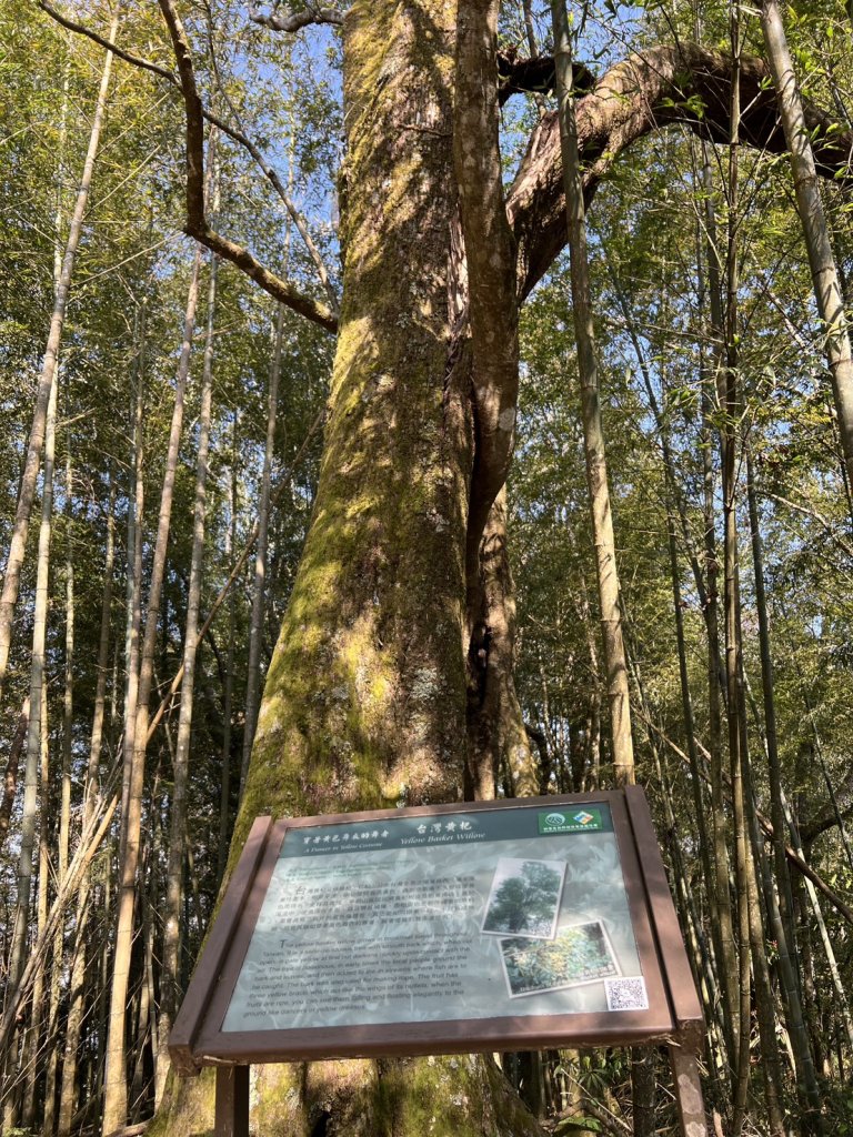 小百岳-石壁山_2742540