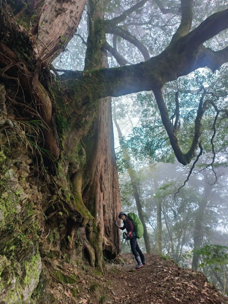 20240316 馬博8天縱走~第一天，東埔登山口到觀高工作站_2470732