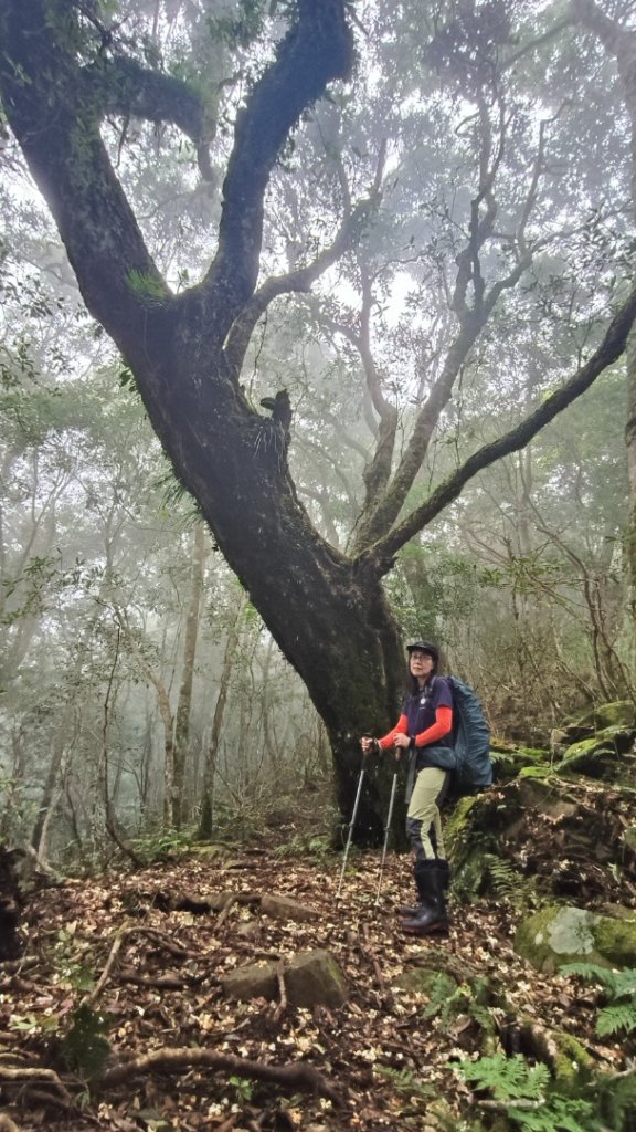 大混李棟重訓_2883618