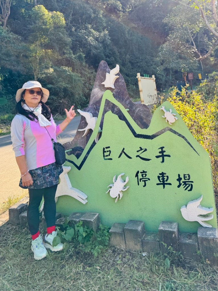 雪山坑登山步道尋巨人_2978231