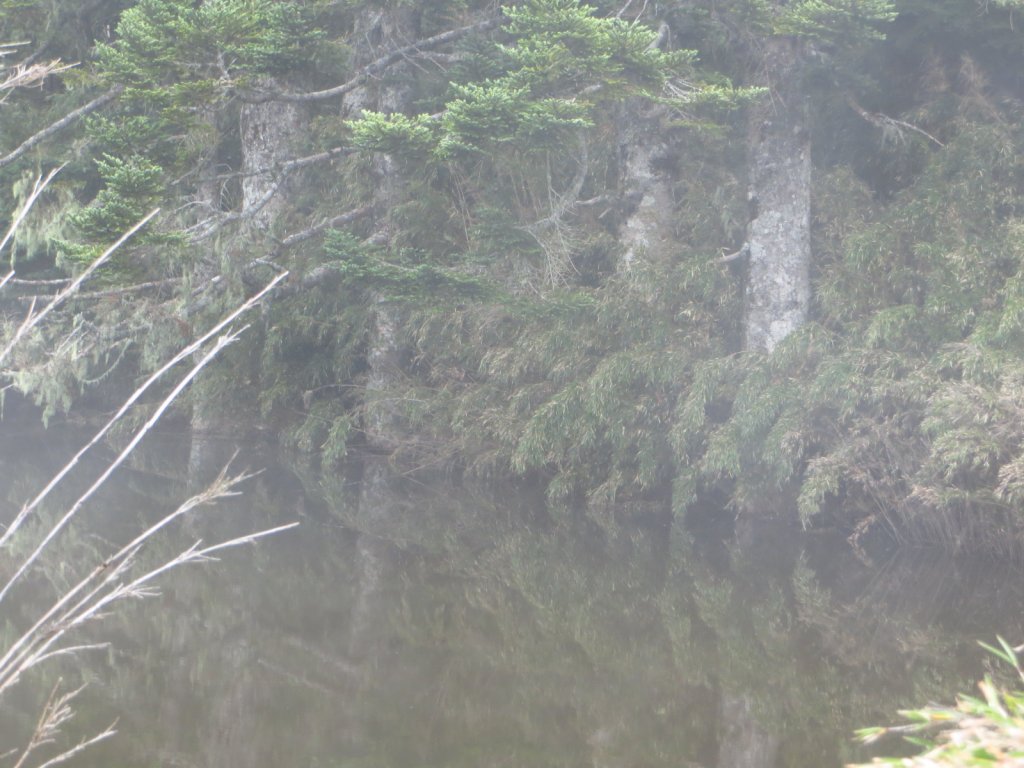 武陵四秀(2015四缺喀_2019喀桃)_689537