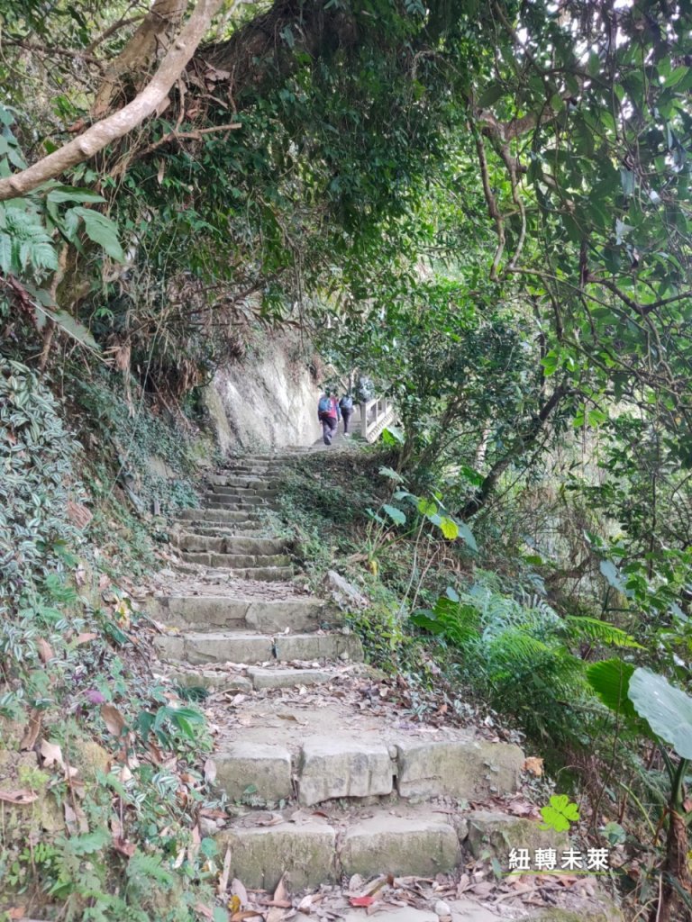 崁頭山漫遊_818170