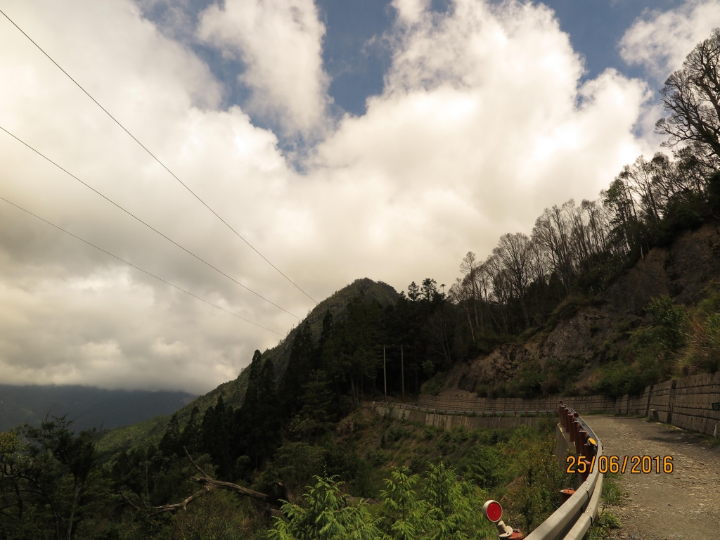 榛山及檜木群_51735