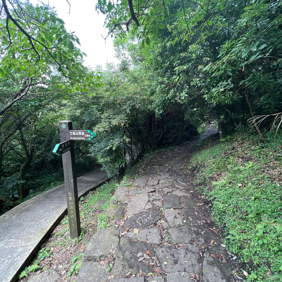 七星山主、東峰步道_2189407