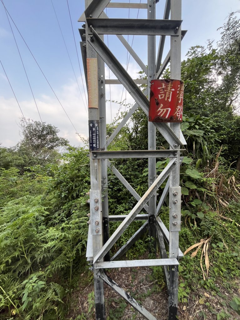 [山頂鳥40周年會員大縱走-14/15] 2024_0804 劍潭山親山步道_2566195