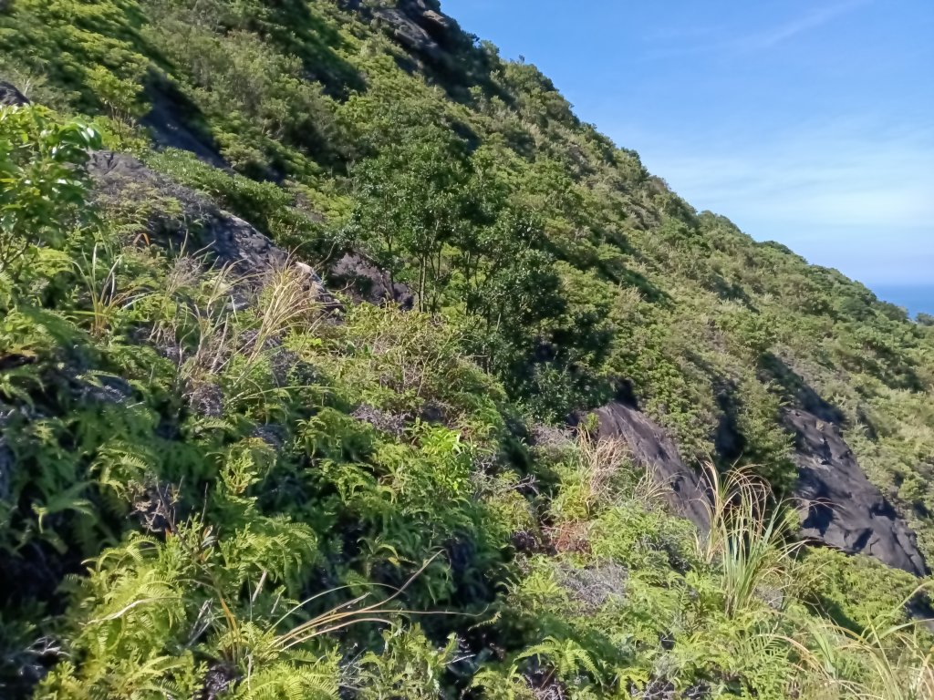 瑞芳區驚險驚嚇+短暫迷途的半屏大瀑布(瀑布稜)+小錐麓古道_2886164