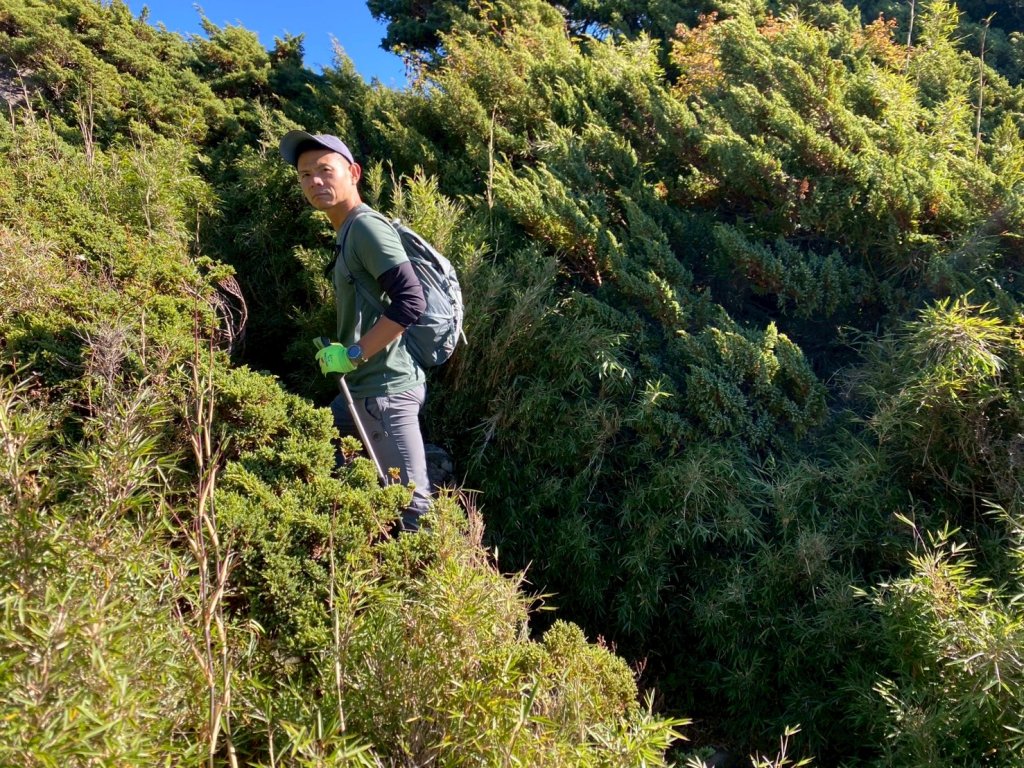 奇萊主峰.奇萊北峰【登山 千萬別高估自己】_2910854