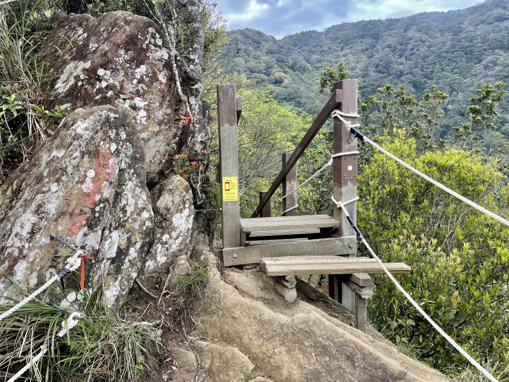 北得拉曼神木+內鳥嘴山_1718394