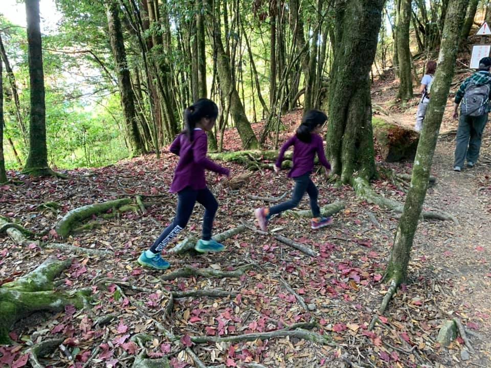 稍來楓情（小白岳）_752907