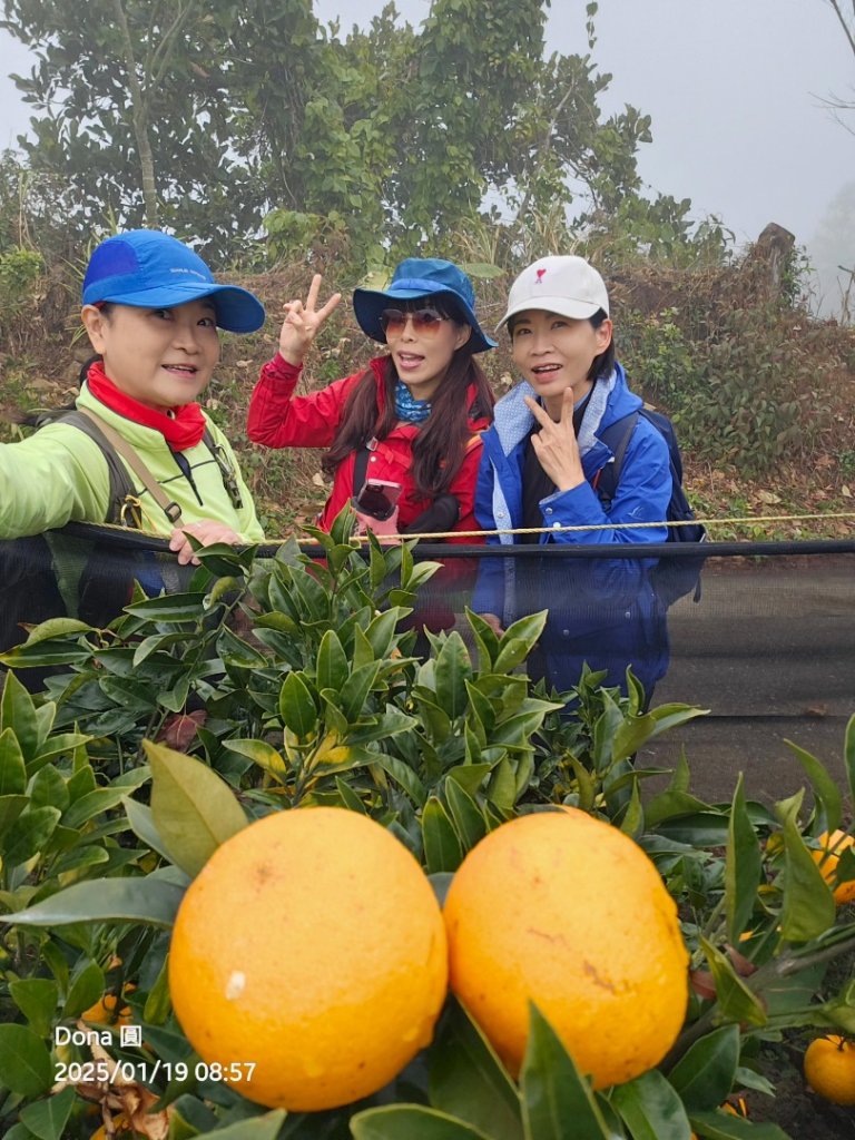 小百岳馬那邦山(H1407m)加碼採草莓_2694643