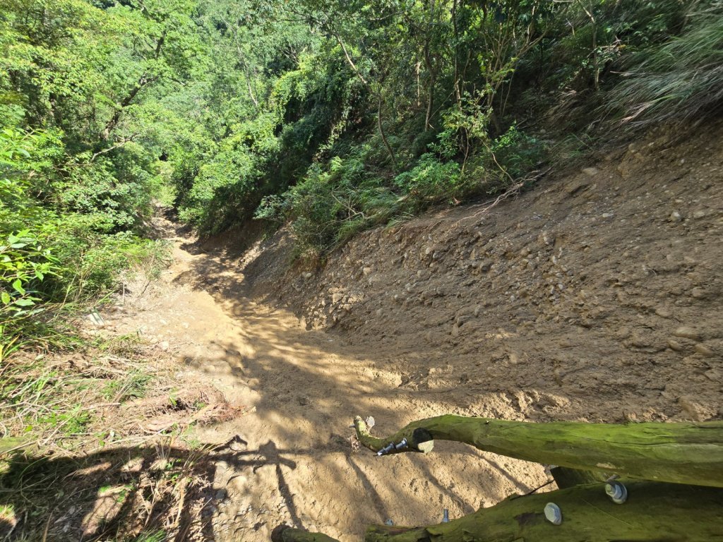 台中大坑四號登山步道（毀損）_2563658