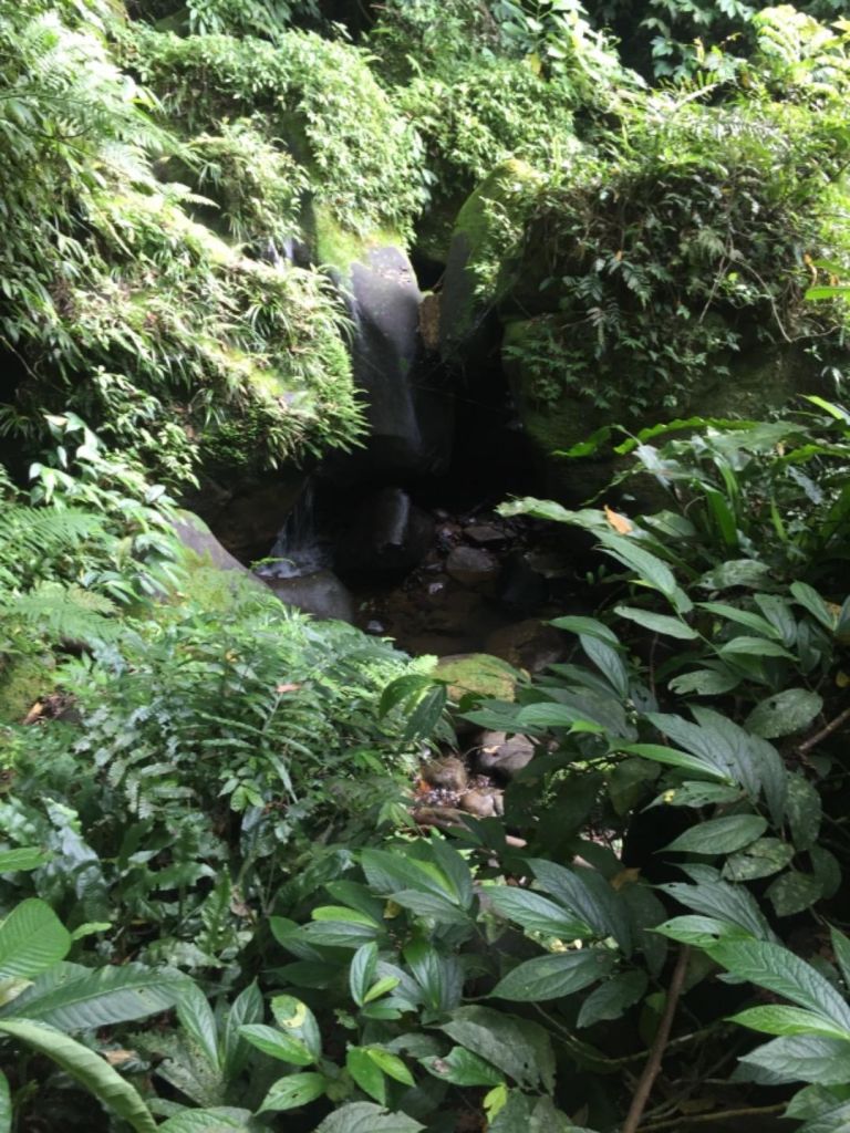 白石山步道（桃園）_333055