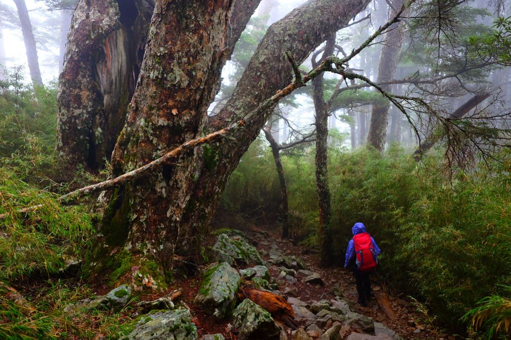 迷霧飄逸池有山_392096