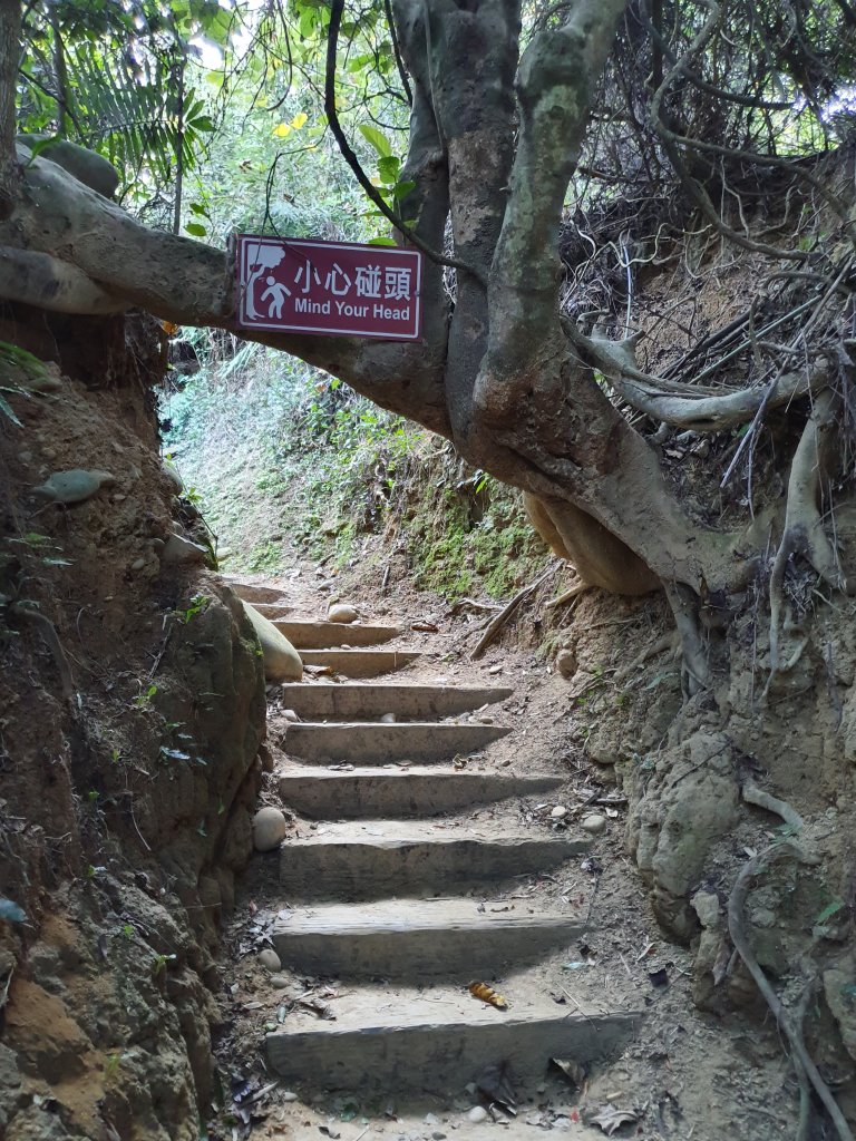 步道巡訪員│龍過脈步道之美~_812531