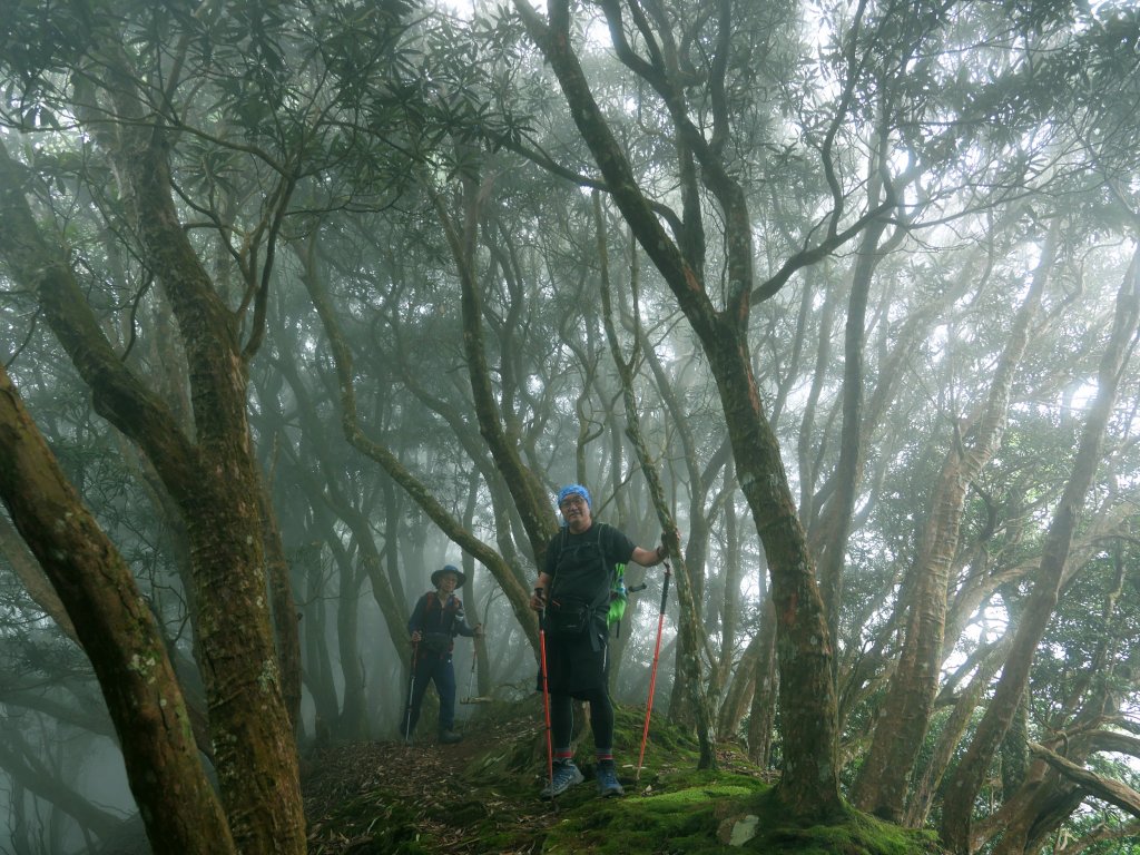 日湯真山+西大武山20200403_904082