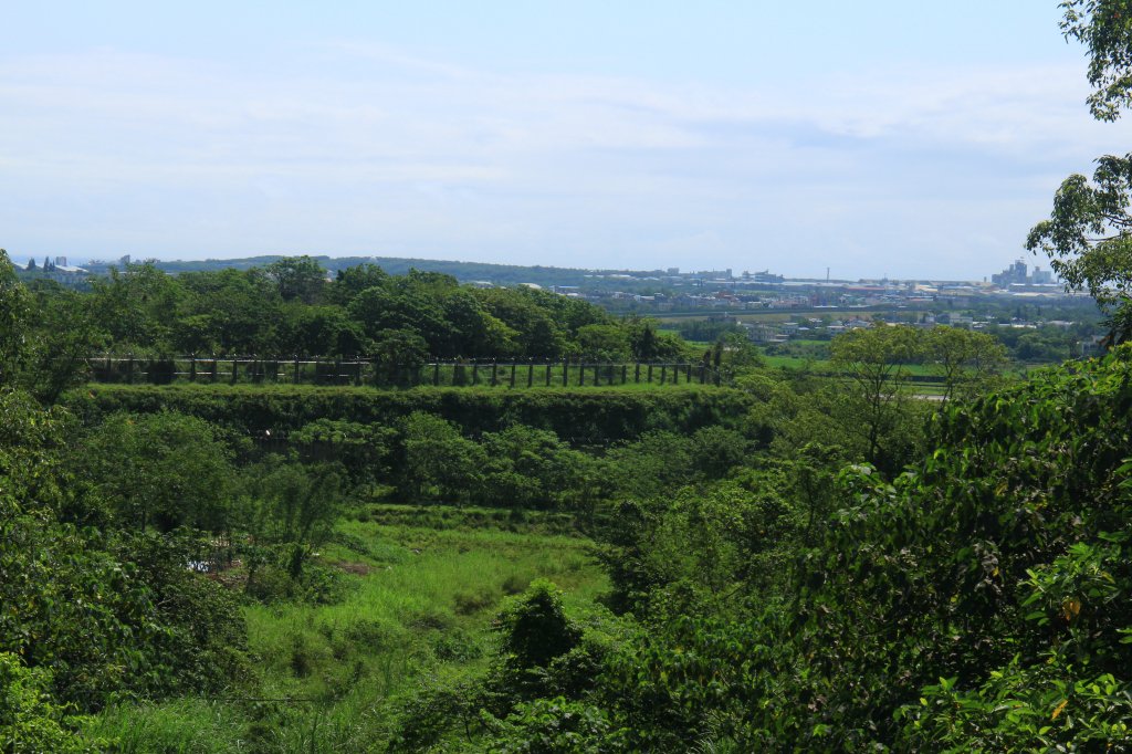 花蓮．佐倉 撒固兒步道2023/04/29_2164651