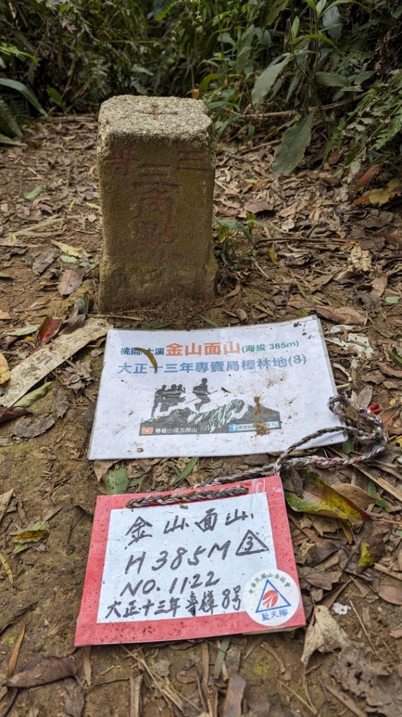 桃園金面山_2380840
