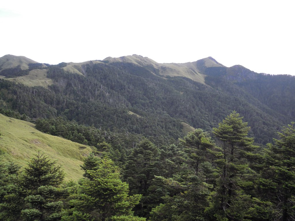 奇萊南峰&南華山20130705_1958279