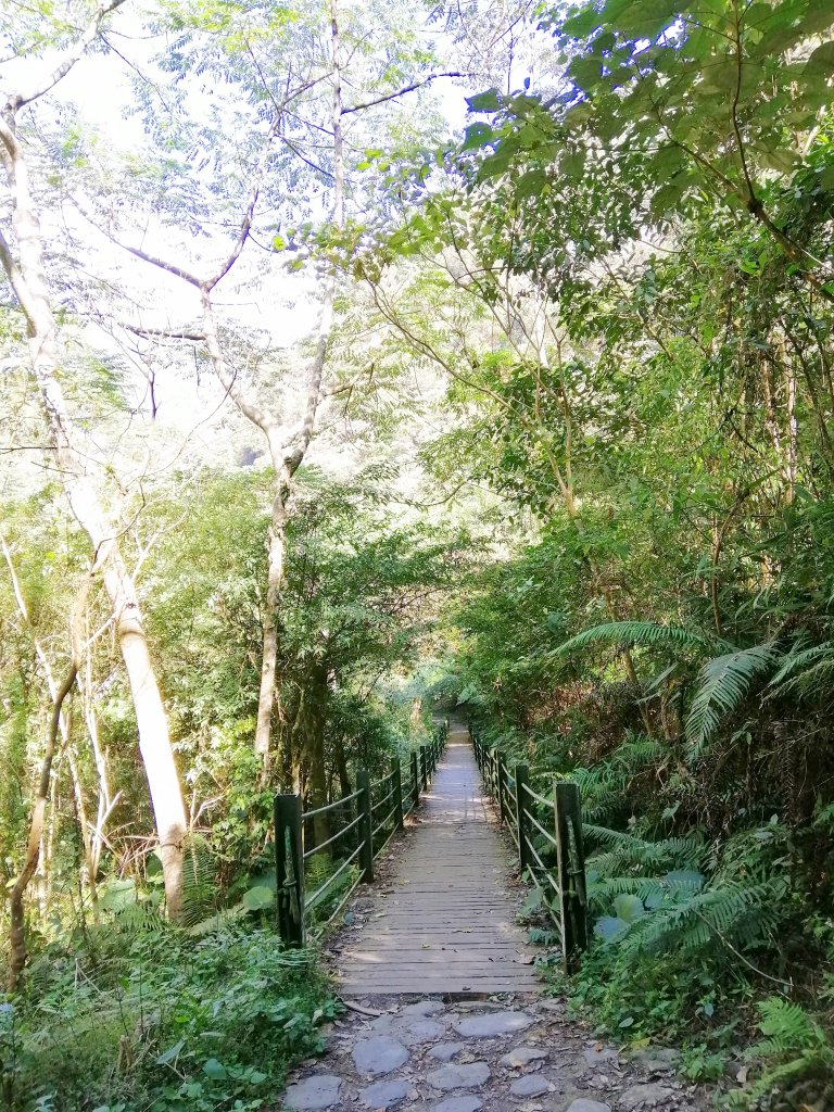 【南投。埔里】娟秀的銀白流瀑。 觀音瀑布_872435