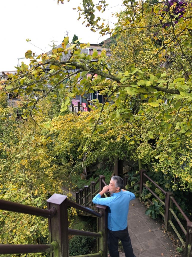 貓空望山、嶺頭山、金柑樹山（小百岳）、忘憂森林_1896942