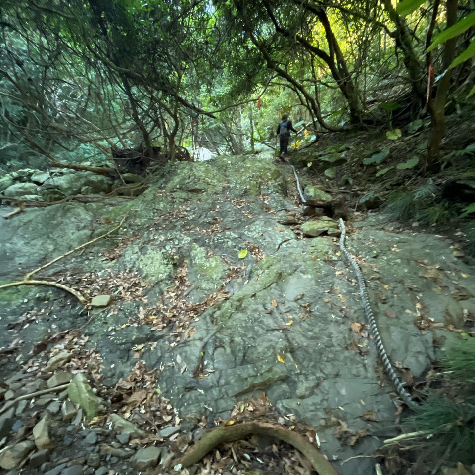 20251214_女仍山（屏東小百岳）_2968708