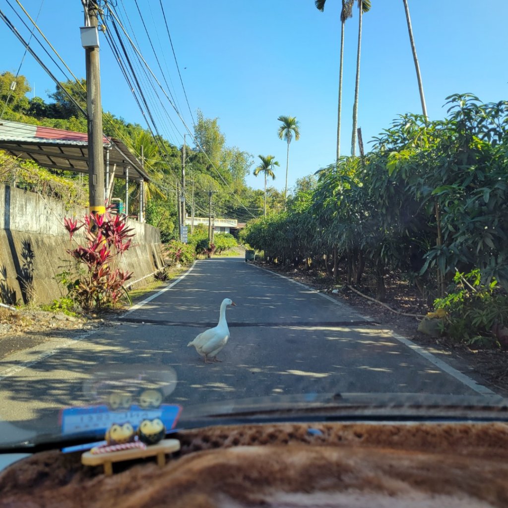 西阿里關山（小百岳）_1583440