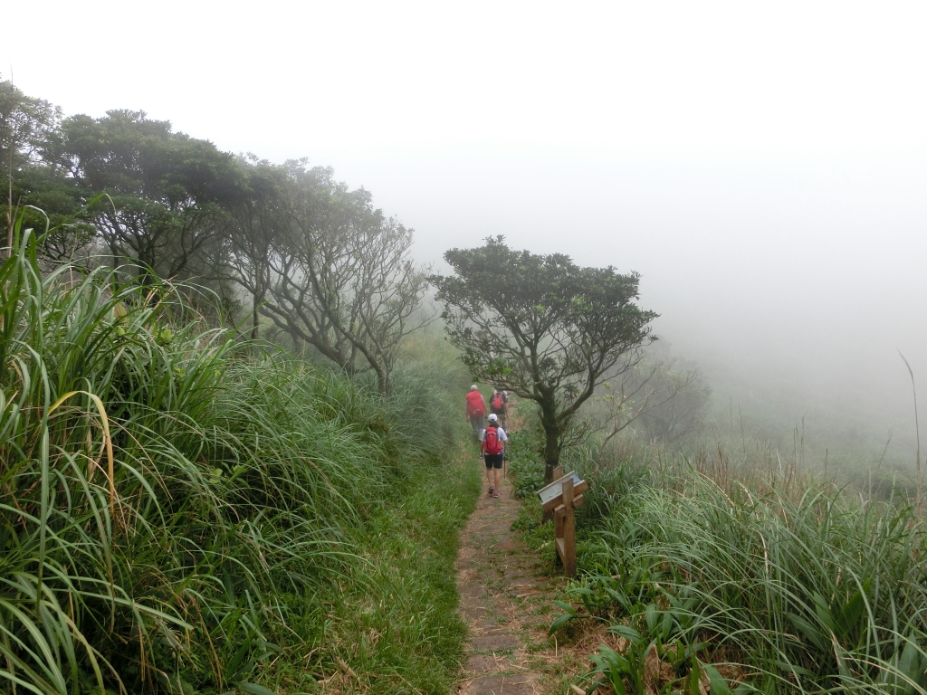 面天山．向天山．向天池_94312