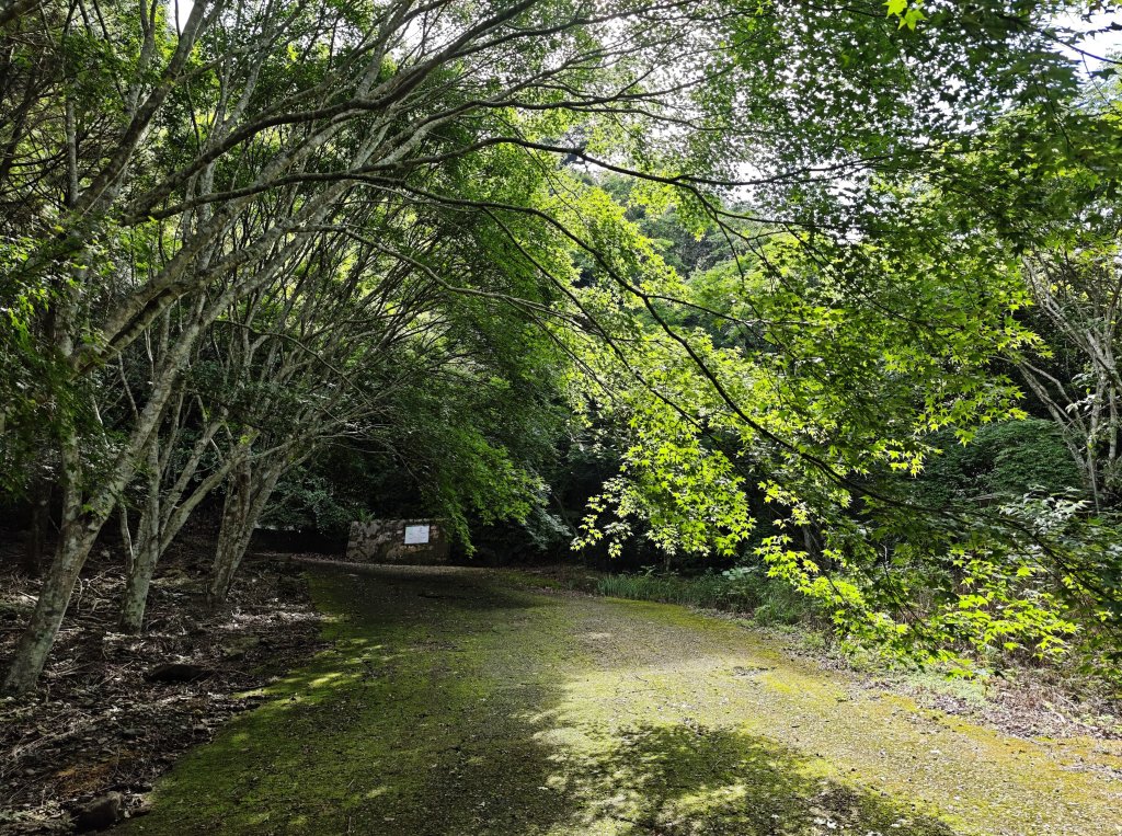 2025_0601 赫威山_2802274