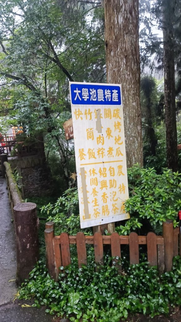 鳳凰南嶺線步道(溪頭至杉林溪縱走)_2150755