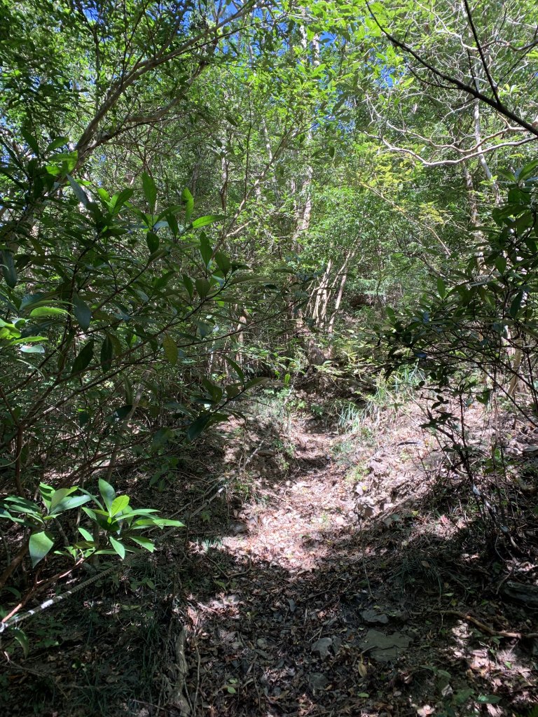 20250130屏東北湖呂山-古華山_2705912