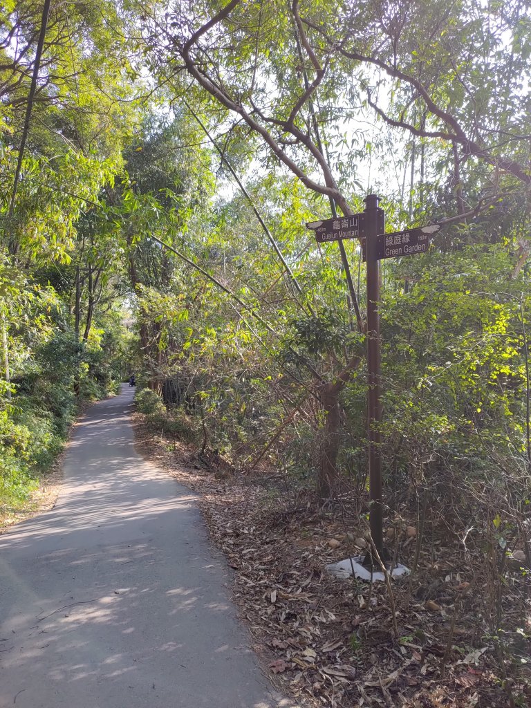 虎頭山大亂走_820224