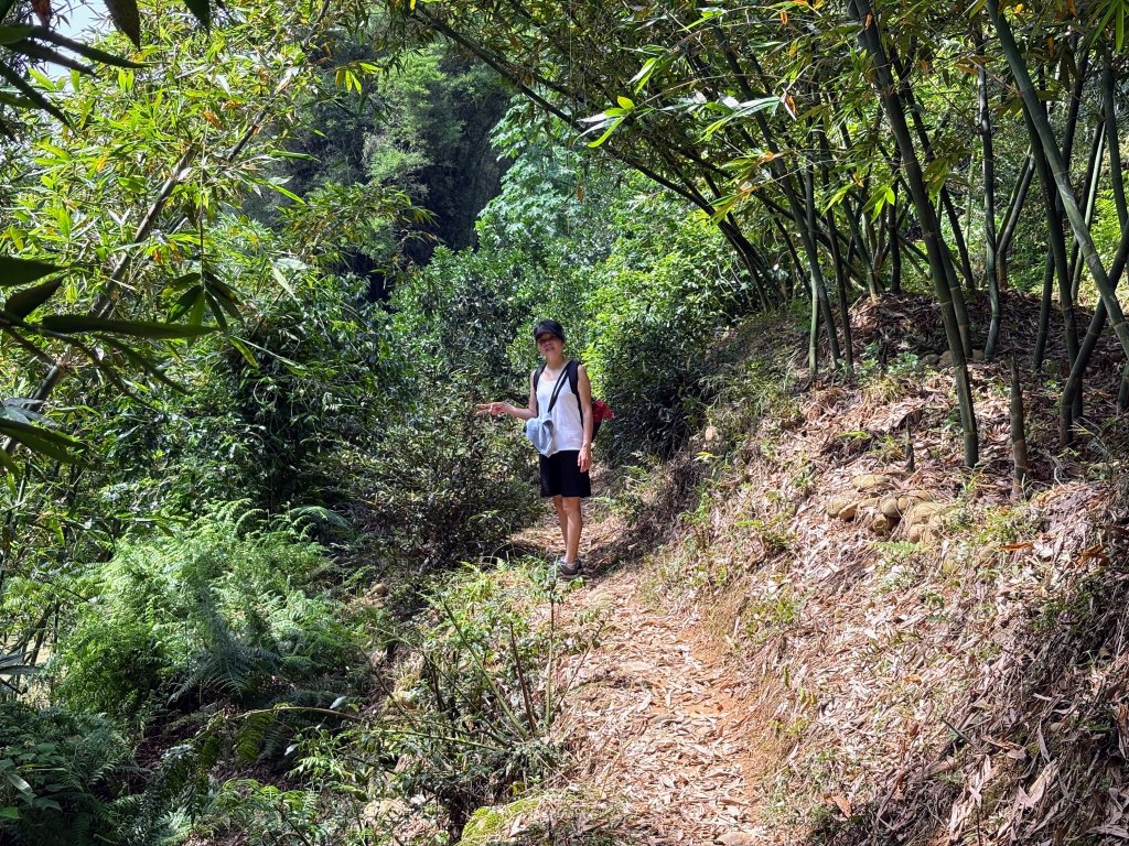 三段崎古道_2835607