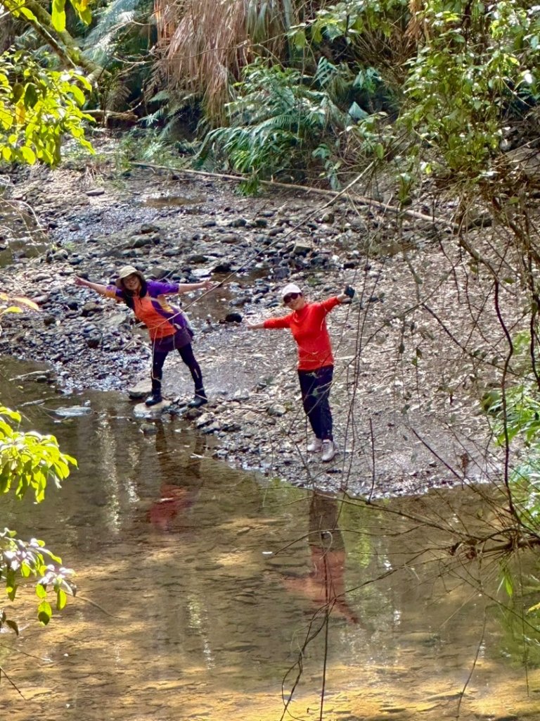澀水森林步道走小橋流水_2679564