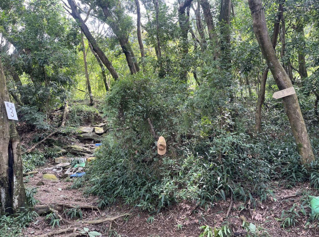 [屏步青雲 尋寶任務-06/10] 2024_1005 笠頂山步道_2616707